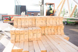 Paul Craig Lifestyle & Portrait Photographer