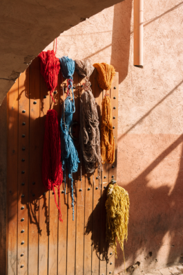 Paul Craig Lifestyle & Portrait Photographer