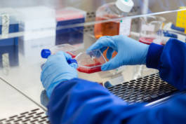 Paul Craig Lifestyle & Portrait Photographer