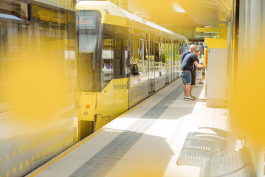 Paul Craig Lifestyle & Portrait Photographer