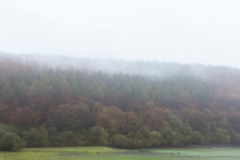 Paul Craig Lifestyle & Portrait Photographer