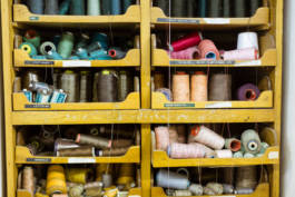 Paul Craig Lifestyle & Portrait Photographer