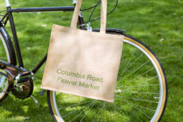 Paul Craig Lifestyle & Portrait Photographer