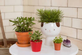 Paul Craig Lifestyle & Portrait Photographer