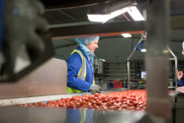 Paul Craig Lifestyle & Portrait Photographer