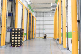 Paul Craig Lifestyle & Portrait Photographer