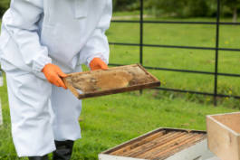 Paul Craig Lifestyle & Portrait Photographer