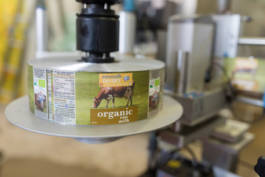 Paul Craig Lifestyle & Portrait Photographer