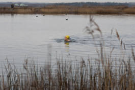 Paul Craig Lifestyle & Portrait Photographer