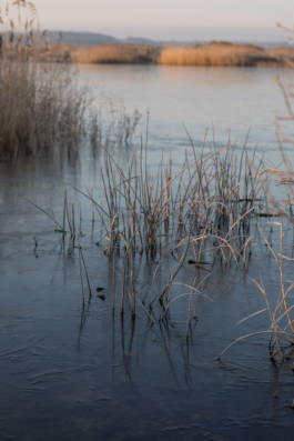 Paul Craig Lifestyle & Portrait Photographer