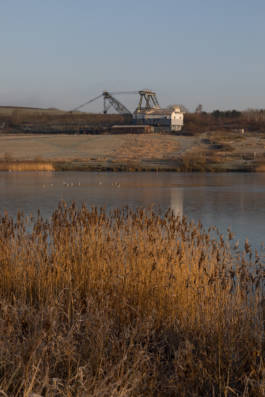 Paul Craig Lifestyle & Portrait Photographer