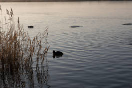 Paul Craig Lifestyle & Portrait Photographer