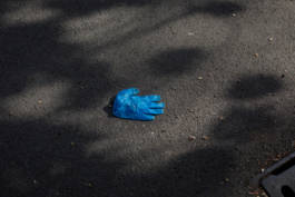 Paul Craig Lifestyle & Portrait Photographer