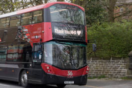 Paul Craig Lifestyle & Portrait Photographer