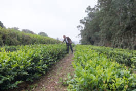 Paul Craig Lifestyle & Portrait Photographer