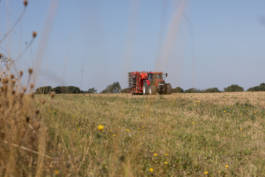 Paul Craig Lifestyle & Portrait Photographer