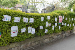 Paul Craig Lifestyle & Portrait Photographer