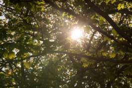 Paul Craig Lifestyle & Portrait Photographer