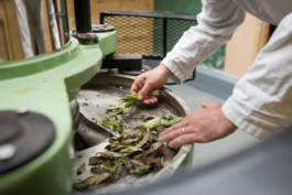 Paul Craig Lifestyle & Portrait Photographer