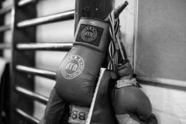 Paul Craig Lifestyle & Portrait Photographer