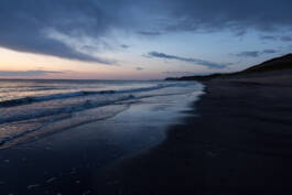 Paul Craig Lifestyle & Portrait Photographer