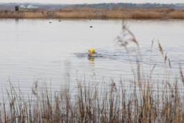 Paul Craig Lifestyle & Portrait Photographer