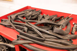 Paul Craig Lifestyle & Portrait Photographer