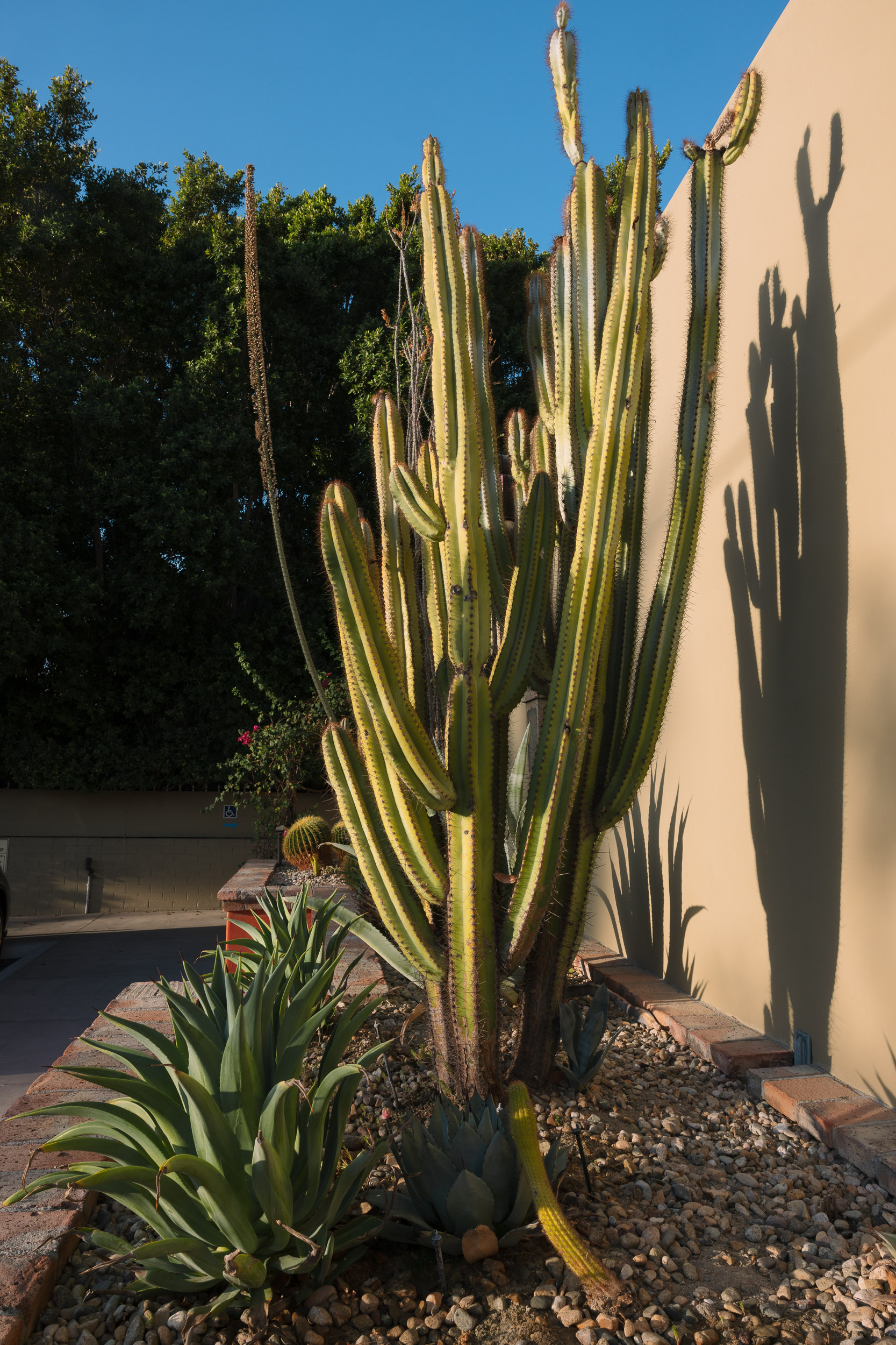 Paul Craig Lifestyle & Portrait Photographer