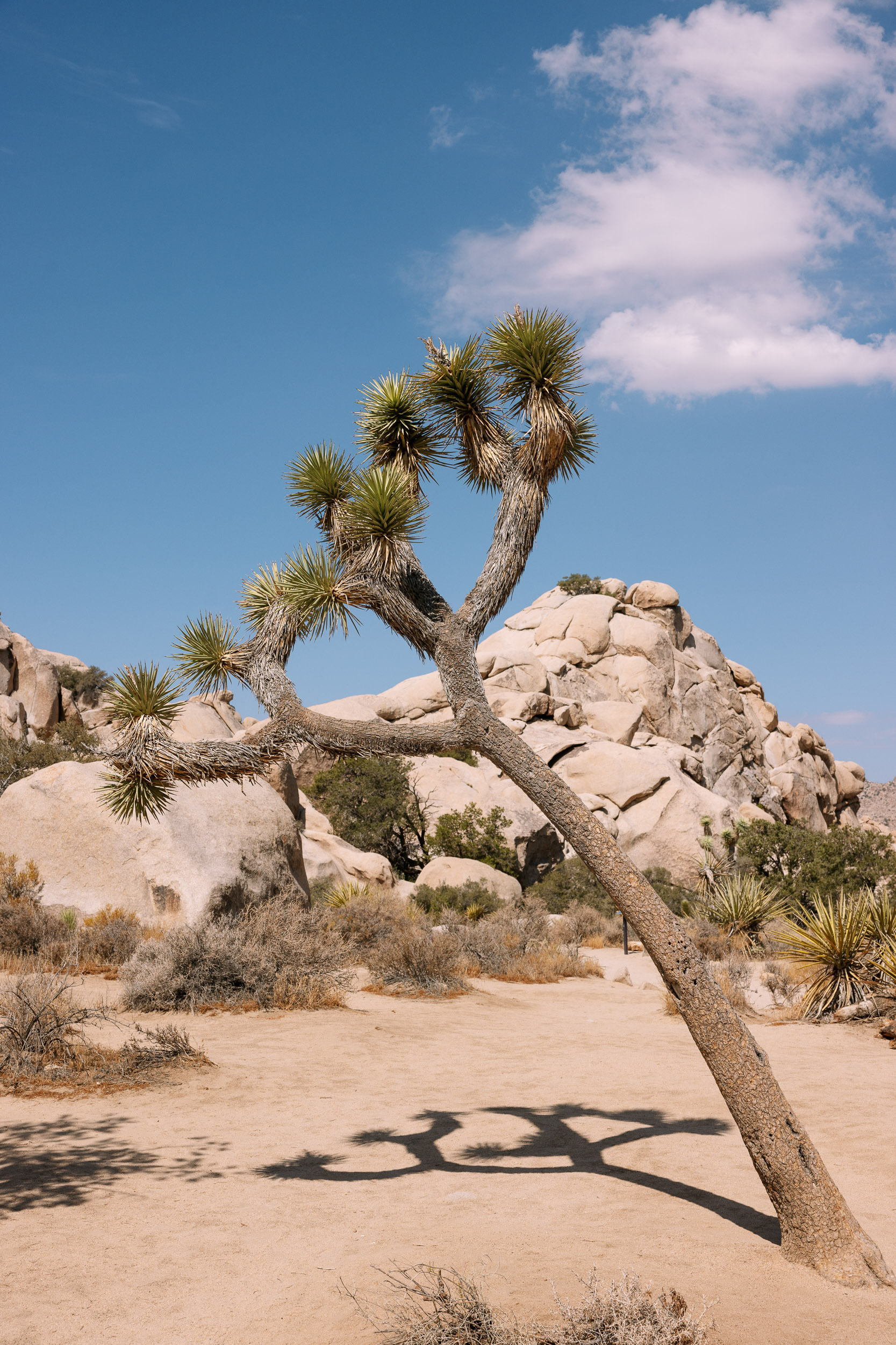 Paul Craig Lifestyle & Portrait Photographer