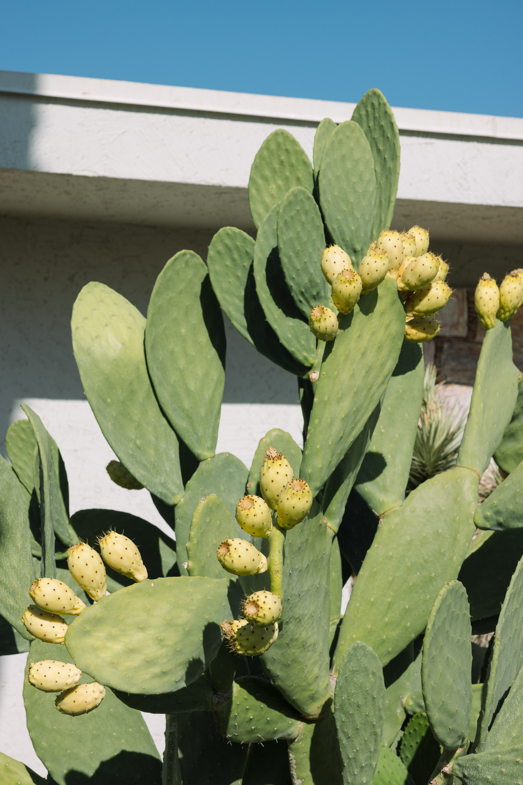 Paul Craig Lifestyle & Portrait Photographer