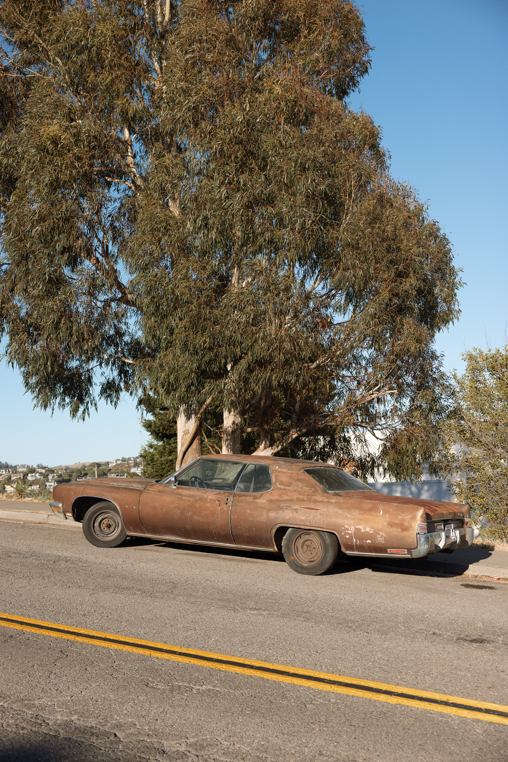 Paul Craig Lifestyle & Portrait Photographer