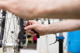 Paul Craig Lifestyle & Portrait Photographer